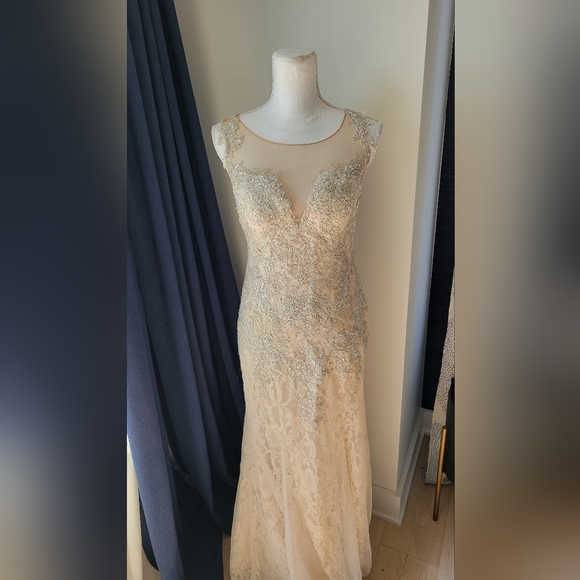 David's Bridal Dresses & Skirts - DAVIDS BRIDAL | Champagne Lace Beaded Dress